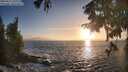 ./images/koeye/fitz-hugh/20250917/fitz-hugh20250917_185510M.jpg