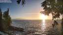 ./images/koeye/fitz-hugh/20250917/fitz-hugh20250917_190009M.jpg