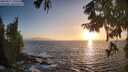 ./images/koeye/fitz-hugh/20250917/fitz-hugh20250917_190506M.jpg