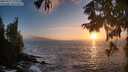 ./images/koeye/fitz-hugh/20250917/fitz-hugh20250917_192010M.jpg