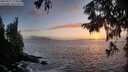 ./images/koeye/fitz-hugh/20250917/fitz-hugh20250917_193009M.jpg