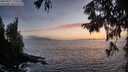 ./images/koeye/fitz-hugh/20250917/fitz-hugh20250917_193507M.jpg