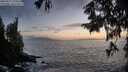 ./images/koeye/fitz-hugh/20250917/fitz-hugh20250917_194009M.jpg