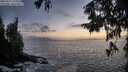 ./images/koeye/fitz-hugh/20250917/fitz-hugh20250917_194509M.jpg