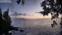 ./images/koeye/fitz-hugh/20250917/fitz-hugh20250917_195008M.jpg