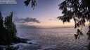 ./images/koeye/fitz-hugh/20250917/fitz-hugh20250917_195508M.jpg