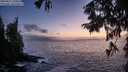 ./images/koeye/fitz-hugh/20250917/fitz-hugh20250917_200009M.jpg