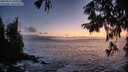 ./images/koeye/fitz-hugh/20250917/fitz-hugh20250917_200509M.jpg