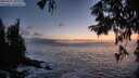 ./images/koeye/fitz-hugh/20250917/fitz-hugh20250917_201008M.jpg