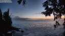 ./images/koeye/fitz-hugh/20250917/fitz-hugh20250917_201508M.jpg