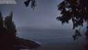 ./images/koeye/fitz-hugh/20250918/fitz-hugh20250918_063510M.jpg