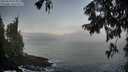 ./images/koeye/fitz-hugh/20250918/fitz-hugh20250918_073510M.jpg