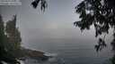./images/koeye/fitz-hugh/20250918/fitz-hugh20250918_080012M.jpg