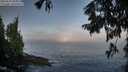 ./images/koeye/fitz-hugh/20250918/fitz-hugh20250918_084010M.jpg