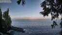 ./images/koeye/fitz-hugh/20250918/fitz-hugh20250918_085011M.jpg