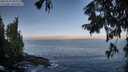 ./images/koeye/fitz-hugh/20250918/fitz-hugh20250918_085510M.jpg
