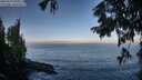 ./images/koeye/fitz-hugh/20250918/fitz-hugh20250918_090012M.jpg