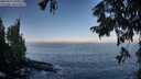 ./images/koeye/fitz-hugh/20250918/fitz-hugh20250918_090508M.jpg