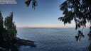 ./images/koeye/fitz-hugh/20250918/fitz-hugh20250918_091010M.jpg