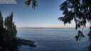 ./images/koeye/fitz-hugh/20250918/fitz-hugh20250918_091511M.jpg