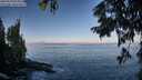 ./images/koeye/fitz-hugh/20250918/fitz-hugh20250918_092008M.jpg