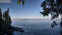 ./images/koeye/fitz-hugh/20250918/fitz-hugh20250918_092510M.jpg