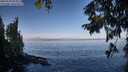 ./images/koeye/fitz-hugh/20250918/fitz-hugh20250918_093011M.jpg
