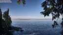 ./images/koeye/fitz-hugh/20250918/fitz-hugh20250918_093510M.jpg
