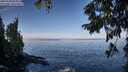 ./images/koeye/fitz-hugh/20250918/fitz-hugh20250918_094011M.jpg