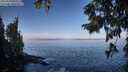 ./images/koeye/fitz-hugh/20250918/fitz-hugh20250918_094511M.jpg
