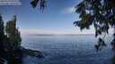 ./images/koeye/fitz-hugh/20250918/fitz-hugh20250918_095010M.jpg