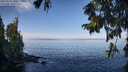 ./images/koeye/fitz-hugh/20250918/fitz-hugh20250918_100012M.jpg