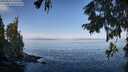 ./images/koeye/fitz-hugh/20250918/fitz-hugh20250918_100510M.jpg