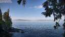 ./images/koeye/fitz-hugh/20250918/fitz-hugh20250918_101511M.jpg