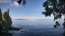 ./images/koeye/fitz-hugh/20250918/fitz-hugh20250918_102510M.jpg