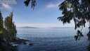 ./images/koeye/fitz-hugh/20250918/fitz-hugh20250918_103011M.jpg