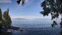 ./images/koeye/fitz-hugh/20250918/fitz-hugh20250918_103509M.jpg