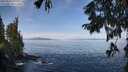 ./images/koeye/fitz-hugh/20250918/fitz-hugh20250918_104011M.jpg