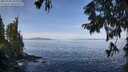 ./images/koeye/fitz-hugh/20250918/fitz-hugh20250918_104510M.jpg