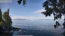 ./images/koeye/fitz-hugh/20250918/fitz-hugh20250918_105009M.jpg