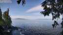 ./images/koeye/fitz-hugh/20250918/fitz-hugh20250918_105510M.jpg