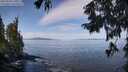 ./images/koeye/fitz-hugh/20250918/fitz-hugh20250918_110011M.jpg
