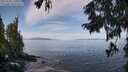 ./images/koeye/fitz-hugh/20250918/fitz-hugh20250918_110510M.jpg