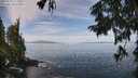 ./images/koeye/fitz-hugh/20250918/fitz-hugh20250918_111008M.jpg