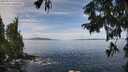 ./images/koeye/fitz-hugh/20250918/fitz-hugh20250918_111510M.jpg