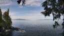 ./images/koeye/fitz-hugh/20250918/fitz-hugh20250918_112509M.jpg