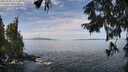 ./images/koeye/fitz-hugh/20250918/fitz-hugh20250918_113509M.jpg