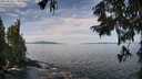 ./images/koeye/fitz-hugh/20250918/fitz-hugh20250918_114010M.jpg