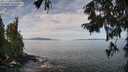 ./images/koeye/fitz-hugh/20250918/fitz-hugh20250918_114510M.jpg