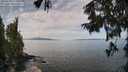./images/koeye/fitz-hugh/20250918/fitz-hugh20250918_115010M.jpg